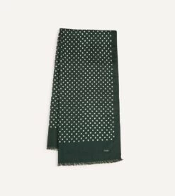 Green Hand-Drawn Polka Dot Wool Scarf -Drakes Shop DR1AB123138 03401 1 LR
